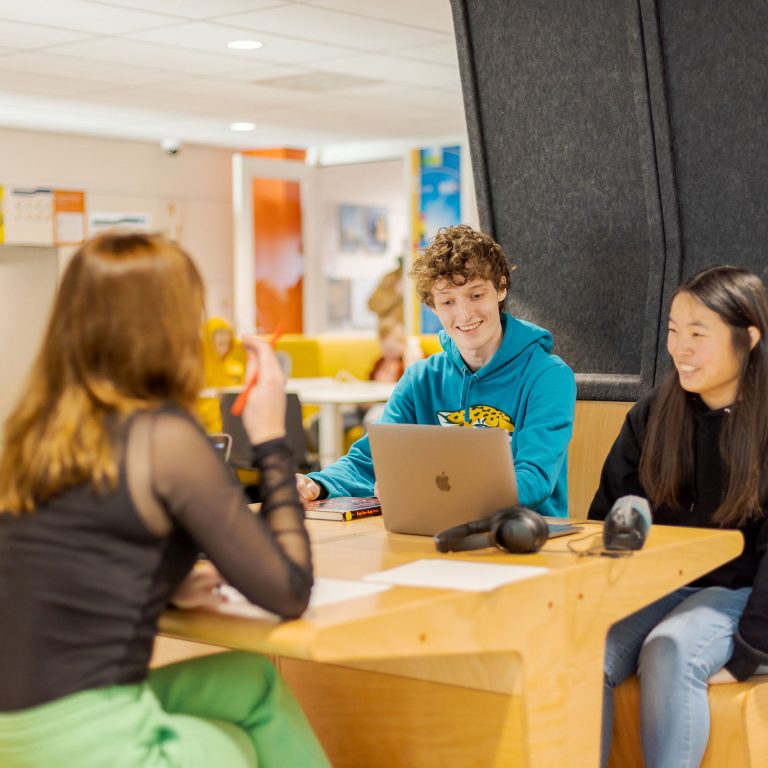 Studenten werken samen aan een opdracht.